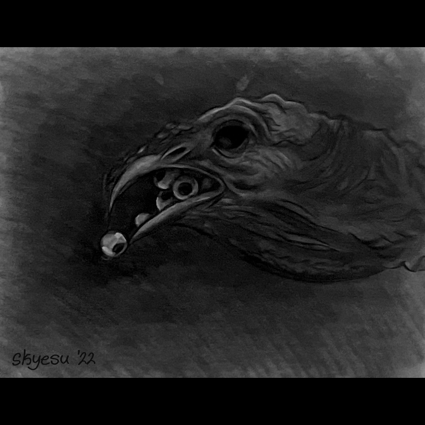charcoal drawing of a turkey head on a dark background with eyeballs falling from its beak